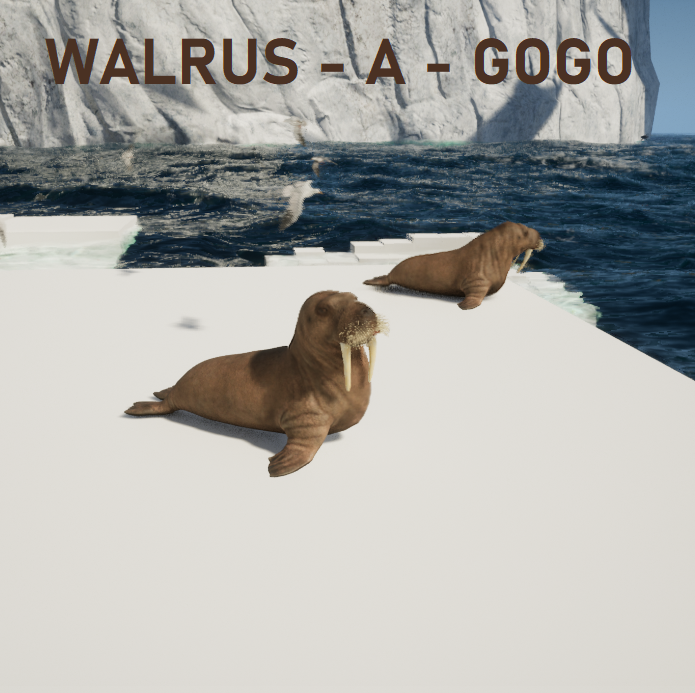 Walrus - A - GoGo
